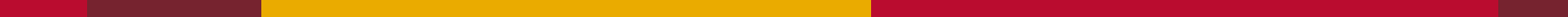 UMSL-ColorBorder-LandingPage-Tall